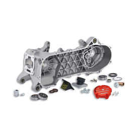 Carter Moteur Piaggio NRG LC - MALOSSI MHR RC One