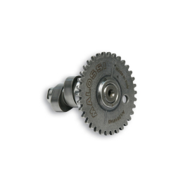 Arbre à Cames Peugeot Kymco SYM 139QM GY6 4T - MALOSSI