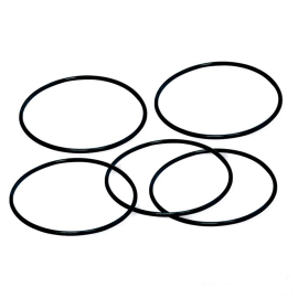 Courroie de Pompe à Eau - MALOSSI