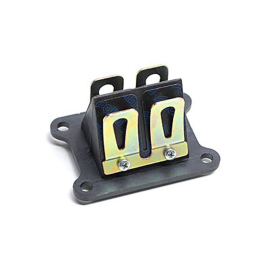 Clapet DERBI E2 E3 E4 - POLINI Carbone