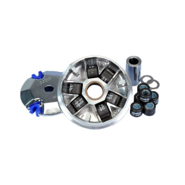 Variateur Peugeot Buxy Speedfight Trekker - POLINI Speed Control