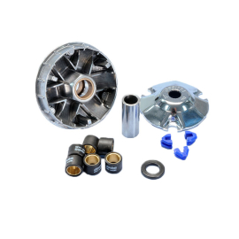 Variateur Piaggio NRG Typhoon Zip - POLINI Speed Control Galets 19mm