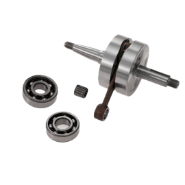 Vilebrequin AM6 - Top Perf Racing TPR avec kit roulements + joints spi