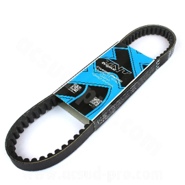 Courroie CPI Generic Keeway - TNT