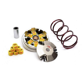 Variateur  SUZUKI KATANA - METRAKIT