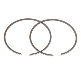 Segment 80cc Watts Minarelli AM6 (x2)