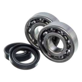 Kit roulement et spi de vilebrequin Watts Minarelli AM6 (6204 C3)