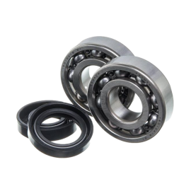 Kit roulements et spi de vilebrequin Watts Minarelli AM6 (6204 C4)