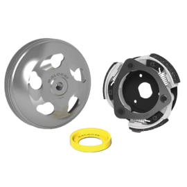 Embrayage complet Malossi Maxi Delta System Honda Forza 125 LC