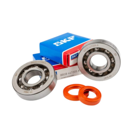 Kit roulements C4 + joints spi Peugeot Speedfight 1 - Stage6 cage polyamide
