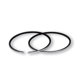 Jeu de Segments 50 x 1.5mm - MALOSSI MHR Replica