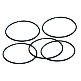 Courroie de Pompe à Eau - MALOSSI