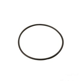 Courroie de Pompe à Eau - POLINI