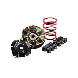 Variateur Piaggio NRG Typhoon Zip à partir de 2000 - ARTEK K2 Evo Galets 19mm 