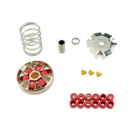 Variateur CPI Generic Keeway - DOPPLER S2BR D16