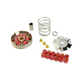 Variateur Piaggio NRG Typhoon Zip avant 2000 - DOPPLER S2BR Galets 19mm 