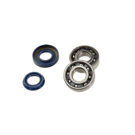 Kit Roulements C4 + Joints Spi vilebrequin MBK Booster Nitro YAMAHA Bw's Aerox - DOPPLER 6204