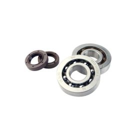 Kit Roulements C4 + Joints Spi vilebrequin PEUGEOT Horizontal - DOPPLER