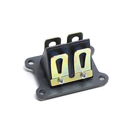 Clapet DERBI E2 E3 E4 - POLINI Carbone