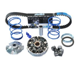 Variateur Piaggio NRG Typhoon - POLINI Hi-Speed avec courroie Galets 19mm 