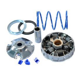 Variateur Piaggio NRG Typhoon Zip - POLINI Hi-Speed Galets 19mm 