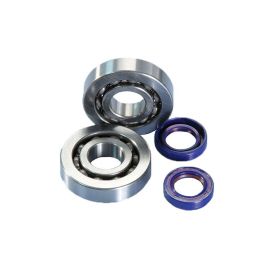 Kit roulements + joints spi vilebrequin Piaggio NRG Typhoon Zip - POLINI