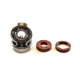 Kit Roulements C3 + Joints Spi Viton AM6 - BIXESS 6303