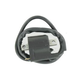 Bobine Allumage MBK Booster Nitro YAMAHA Aerox Bw's - Haute Tension