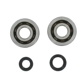 Kit roulements C3 + joints spi vilebrequin Peugeot Buxy Speedfight 1 - Cage Polyamide