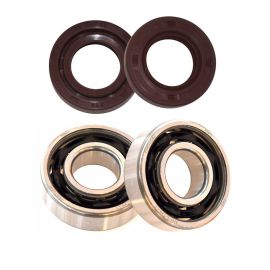 Kit Roulements C3 + Joints Spi Viton AM6 - MVT 6303 cage polyamide