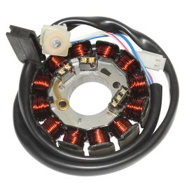 Stator Allumage AM6 Beta RR MBK X-Limit X-Power Yamaha DTR TZR - Type Ducati 12 pôles
