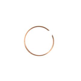 Segment 48 x 1mm - BARIKIT Ergot Central Chromé