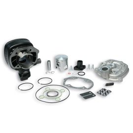 Kit Cylindre 70cc Peugeot Ludix Blaster Speedfight 3 LC - MALOSSI Fonte