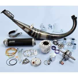 Pack Moteur 94cc AM6 - Polini Big Evo