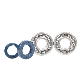 Kit Roulements + Joints Spi Vilebrequin Derbi Variant Start 5 - C3 cage acier Barikit