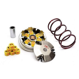 Variateur HONDA SFX / SH-50 - METRAKIT