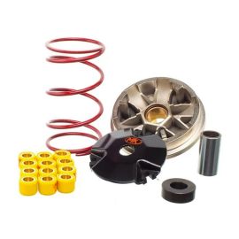 Variateur Piaggio NRG Typhoon Zip à partir de 2000 - METRAKIT