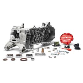 Carter moteur Malossi MHR 100cc RC ONE Piaggio